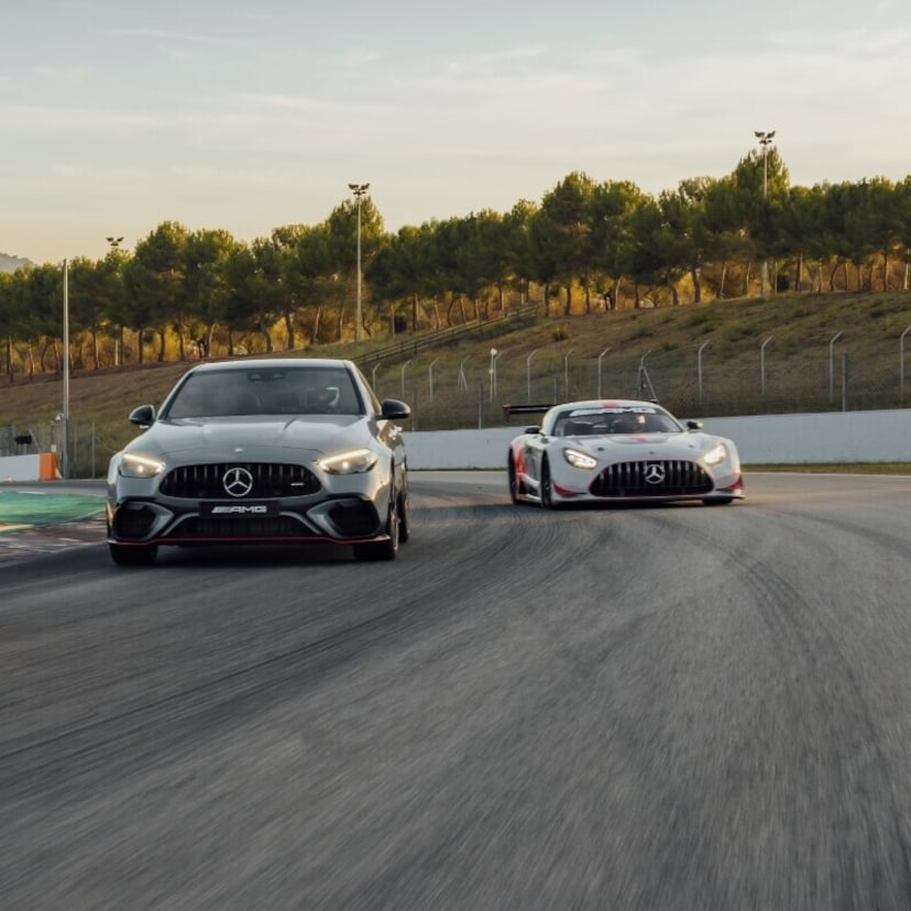 AMG Experience